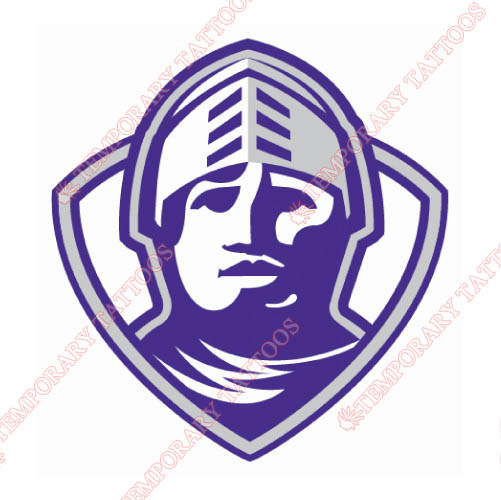 Furman Paladins Customize Temporary Tattoos Stickers NO.4431